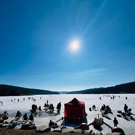 Apartmány V uličce Frymburk Esterno foto