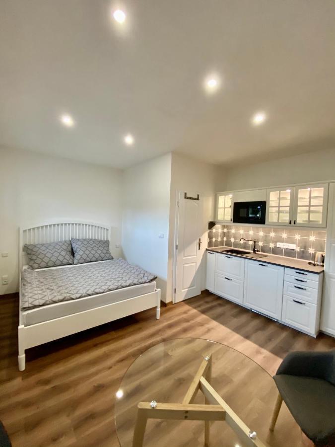 Apartmány V uličce Frymburk Esterno foto