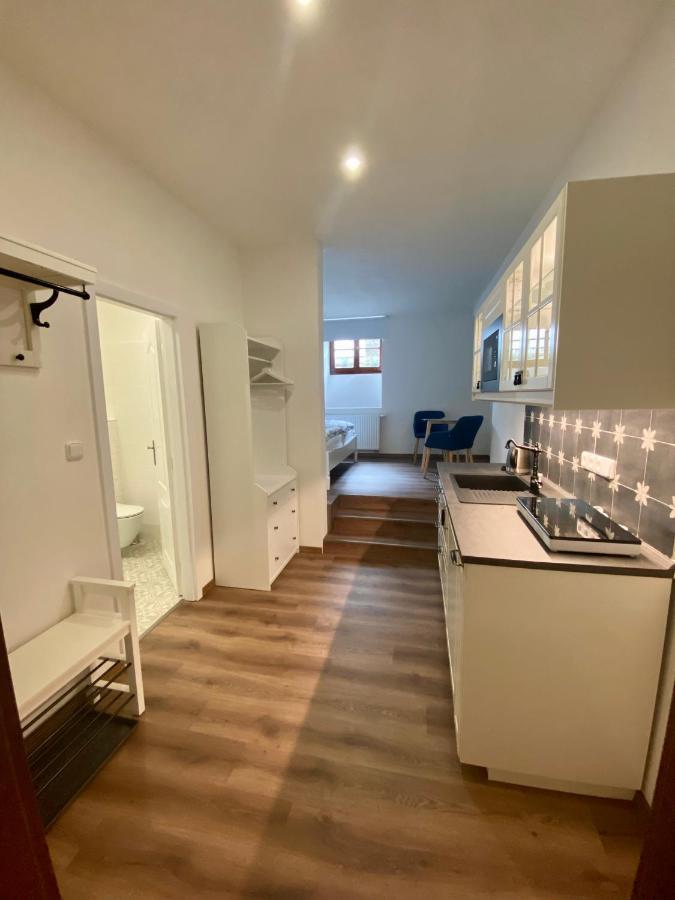 Apartmány V uličce Frymburk Esterno foto