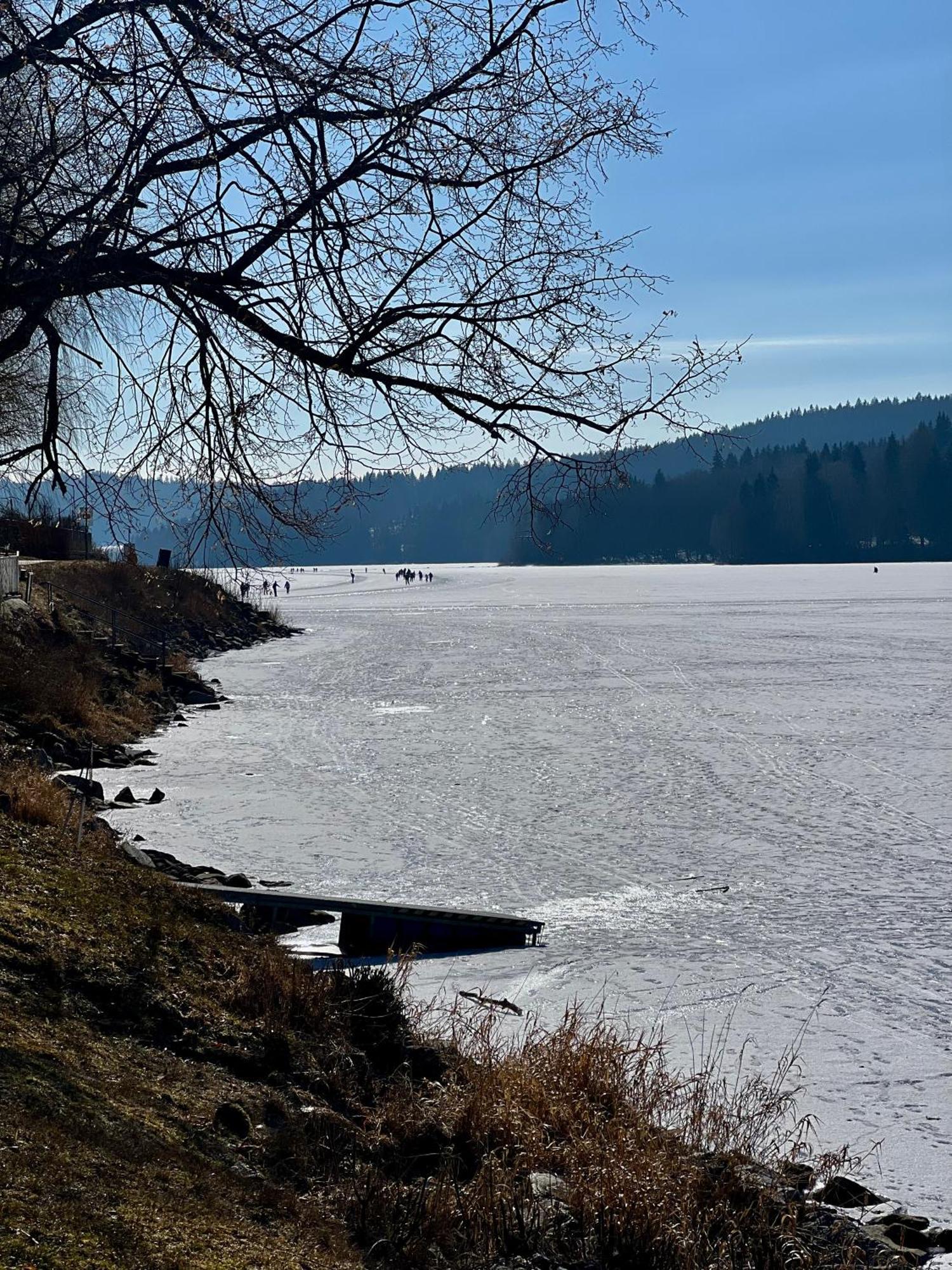 Apartmány V uličce Frymburk Esterno foto